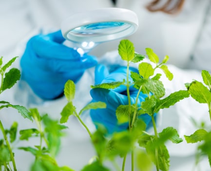 biologist examining samples