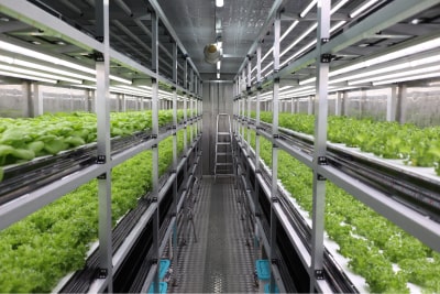 nongshim smart farm container farm oman